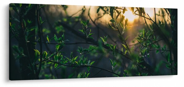 A ragyogó nap képe a fák gallyain keresztül (120x50 cm)