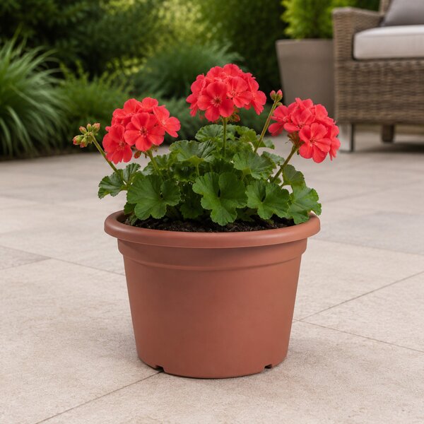 MITHOS TERRA Virágcserép 2L 18 cm terrakotta műanyag