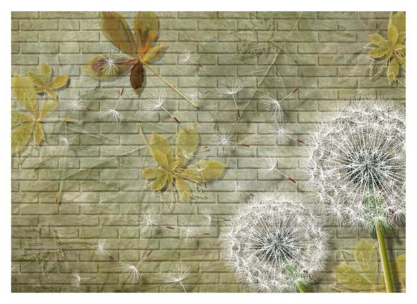 Kép - A szél által hordozott pitypang (70x50 cm)
