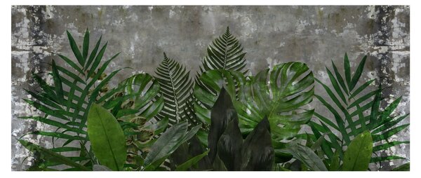 Kép - Betonfal növényekkel (120x50 cm)