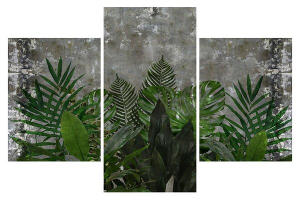 Kép - Betonfal növényekkel (90x60 cm)