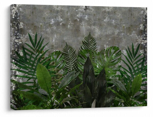 Kép - Betonfal növényekkel (70x50 cm)