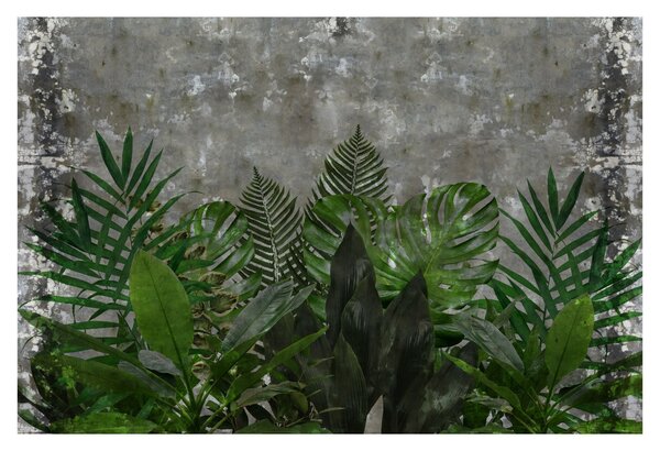 Kép - Betonfal növényekkel (90x60 cm)