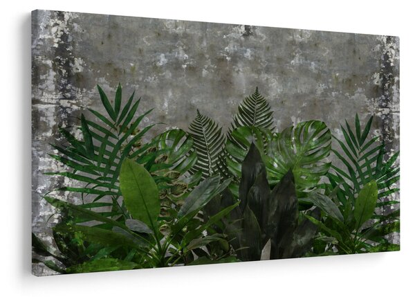 Kép - Betonfal növényekkel (90x60 cm)