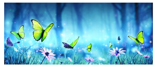 Kép - Misztikus erdei tisztás (120x50 cm)