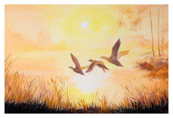 Kép - Daruk naplementekor (90x60 cm)