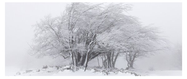 Kép - fehér tél (120x50 cm)
