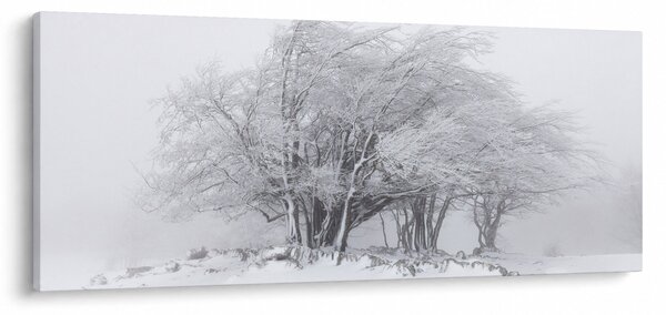Kép - fehér tél (120x50 cm)