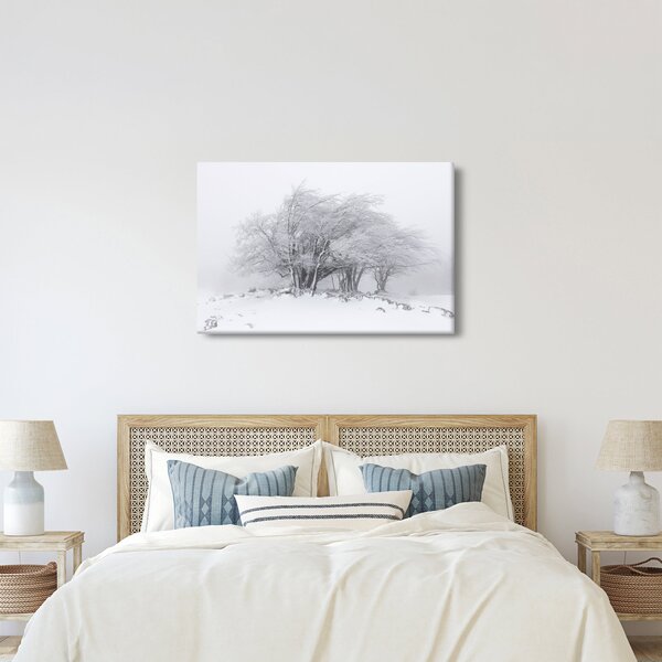 Kép - fehér tél (90x60 cm)