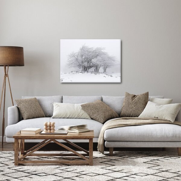 Kép - fehér tél (70x50 cm)