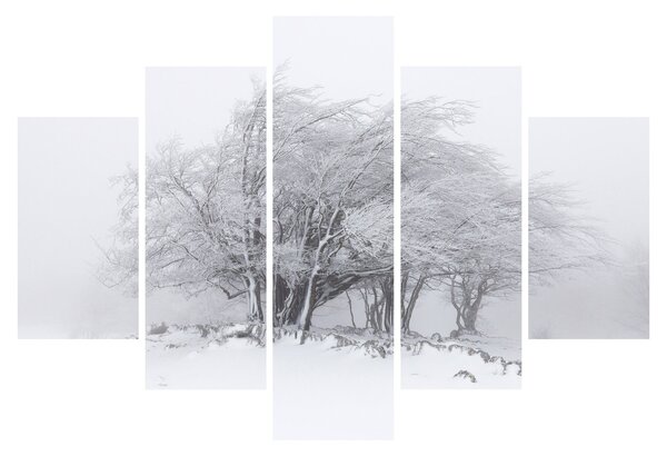 Kép - fehér tél (150x105 cm)