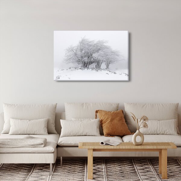 Kép - fehér tél (90x60 cm)