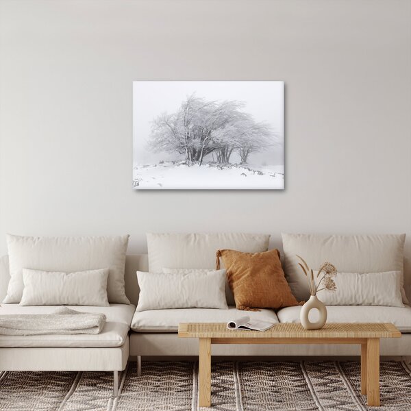 Kép - fehér tél (70x50 cm)