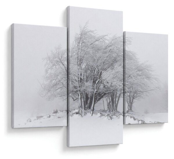 Kép - fehér tél (90x60 cm)
