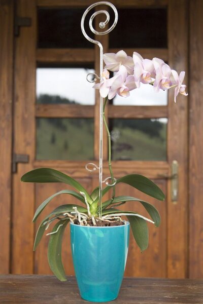 Kaspó orchidea Miltonia 1,58 l frozen 133