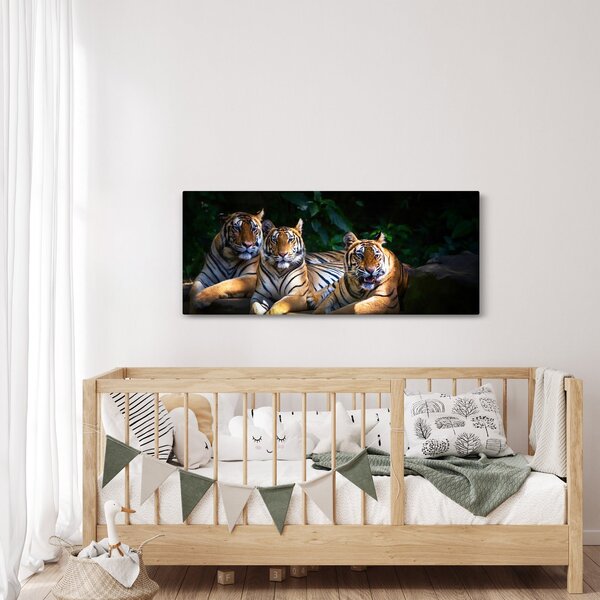 Kép - Tigris testvérek (120x50 cm)