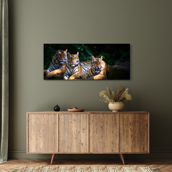 Kép - Tigris testvérek (120x50 cm)