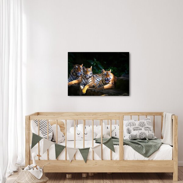 Kép - Tigris testvérek (70x50 cm)