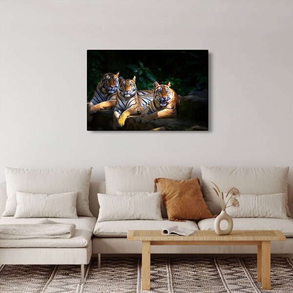 Kép - Tigris testvérek (90x60 cm)
