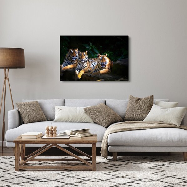 Kép - Tigris testvérek (90x60 cm)