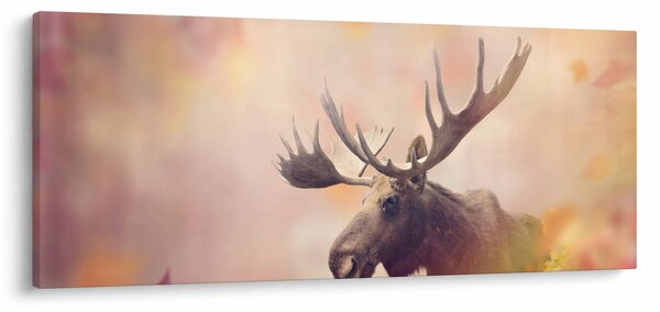 Kép - jávorszarvas az őszi levelekben (120x50 cm)