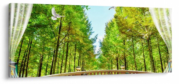Kép - Kilátás az erdőre (120x50 cm)