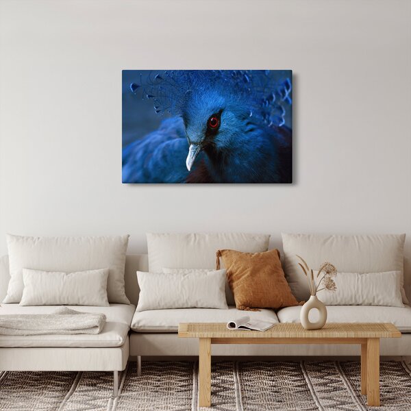 Kép - Koronás galamb (90x60 cm)