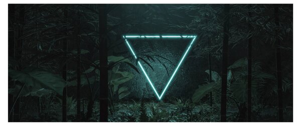 Kép - Neon háromszög a dzsungelben (120x50 cm)