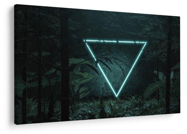 Kép - Neon háromszög a dzsungelben (90x60 cm)