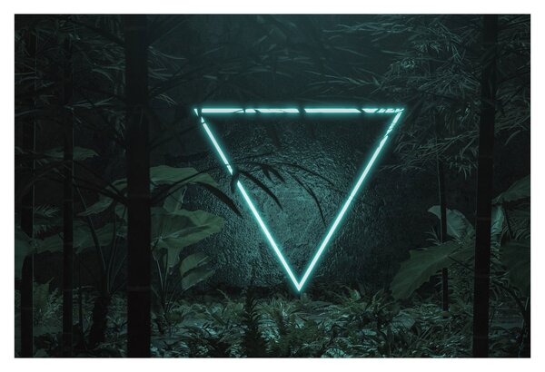 Kép - Neon háromszög a dzsungelben (90x60 cm)