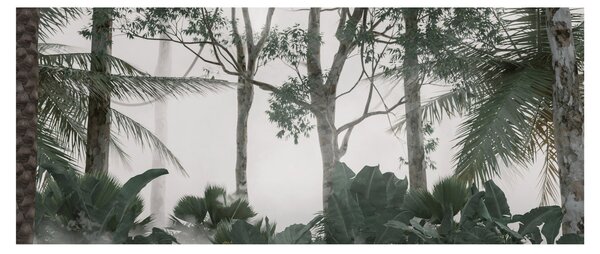 Kép - dzsungel a reggeli ködben (120x50 cm)