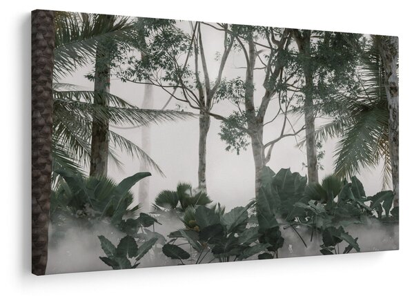 Kép - dzsungel a reggeli ködben (90x60 cm)