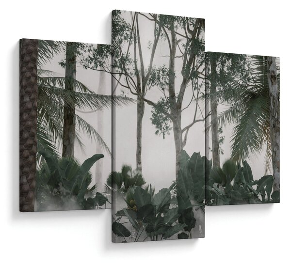 Kép - dzsungel a reggeli ködben (90x60 cm)