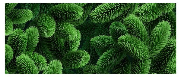 Kép - Tűlevelű gallyak (120x50 cm)