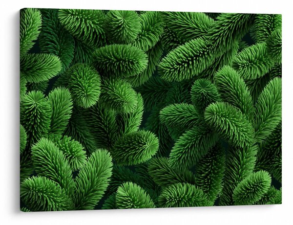 Kép - Tűlevelű gallyak (70x50 cm)