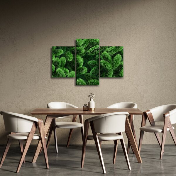 Kép - Tűlevelű gallyak (90x60 cm)