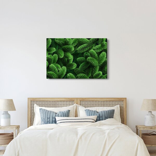 Kép - Tűlevelű gallyak (90x60 cm)