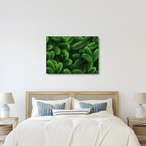 Kép - Tűlevelű gallyak (70x50 cm)