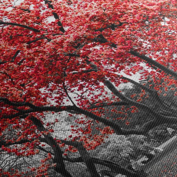 Kép - vörös fák, Central Park, New York (70x50 cm)