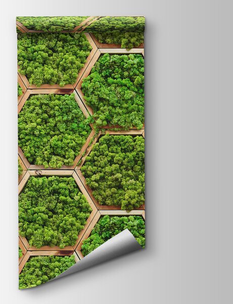 Fotótapéta Hatszögletű növényfal, 3D fotótapéta, Népszerű fotótapéta, u95502 - Tapeko.hu