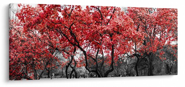 Kép - vörös fák, Central Park, New York (120x50 cm)