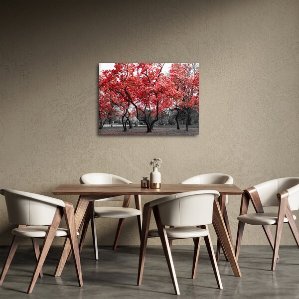 Kép - vörös fák, Central Park, New York (70x50 cm)