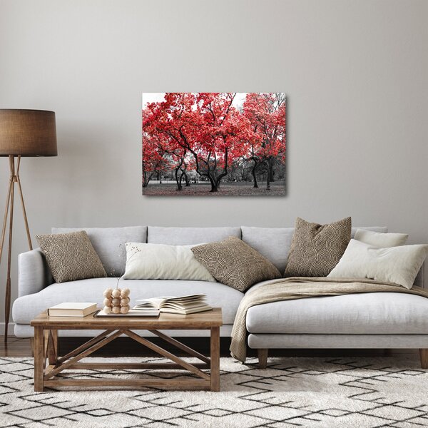 Kép - vörös fák, Central Park, New York (70x50 cm)