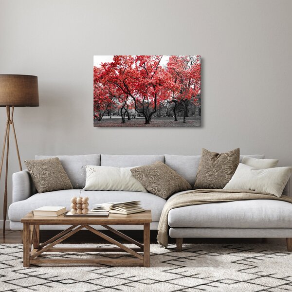 Kép - vörös fák, Central Park, New York (90x60 cm)