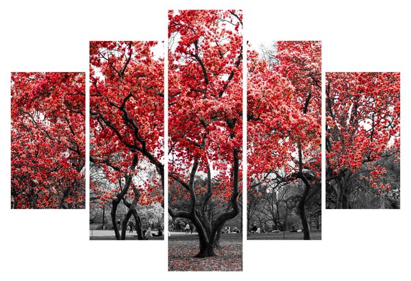 Kép - vörös fák, Central Park, New York (150x105 cm)