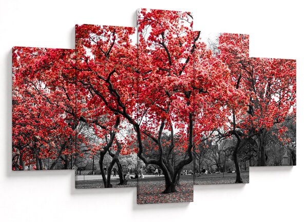 Kép - vörös fák, Central Park, New York (150x105 cm)