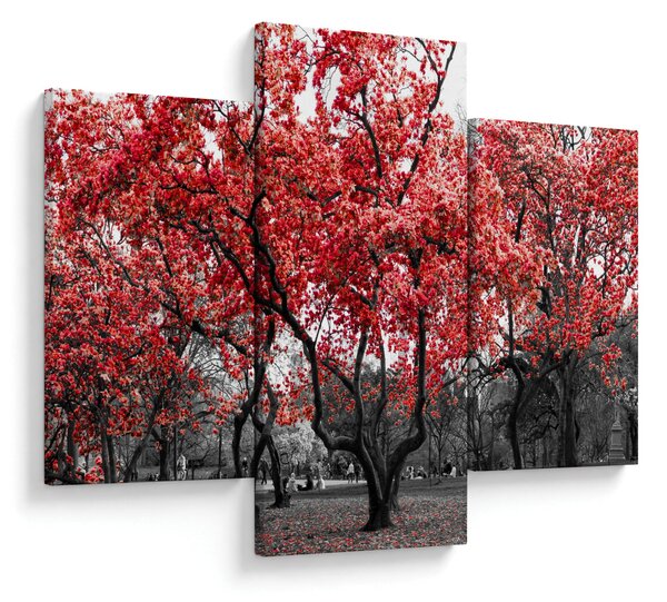 Kép - vörös fák, Central Park, New York (90x60 cm)