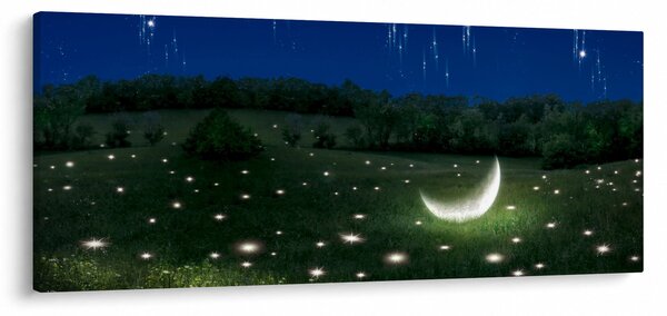 Kép - zuhanó égbolt (120x50 cm)