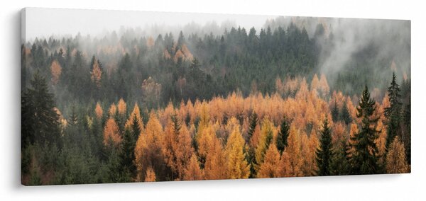 Kép - őszi erdő (120x50 cm)
