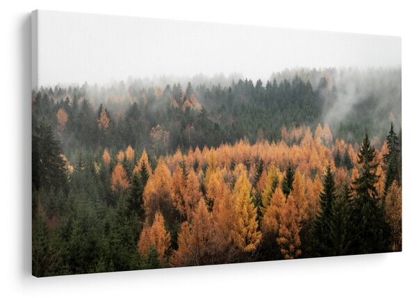 Kép - őszi erdő (90x60 cm)